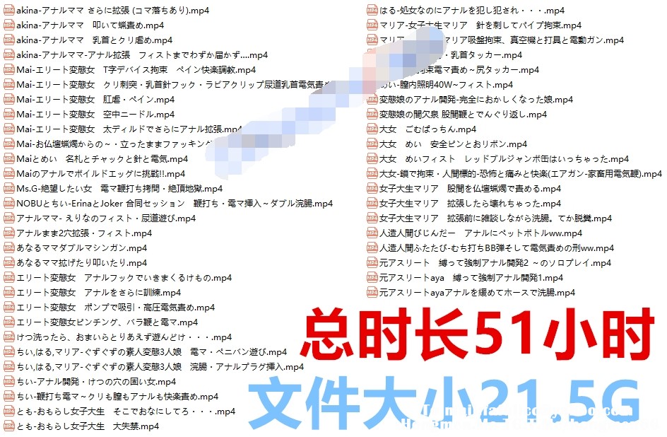 【逃亡重口】D&S sm調教系列,第二期，51小時 20G長合集
